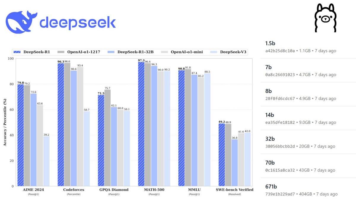 deepseek lokal auf Windows / macOS oder Linux installieren und benutzen